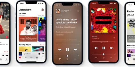 How Does Family Apple Music Work? A Deep Dive into Its Various Aspects