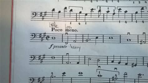 What Does Poco a Poco Mean in Music and Its Elusive Essence in Context